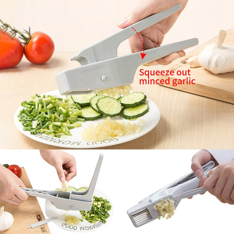 Stainless Steel Garlic Press Crusher